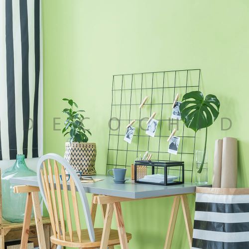 تزیین میز تحریر با گیاهان